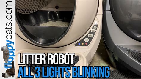 Litter robot green with flashing red. Things To Know About Litter robot green with flashing red. 